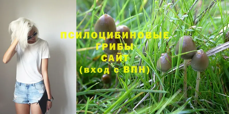 Галлюциногенные грибы Magic Shrooms  купить   ссылка на мегу вход  Ленинск 